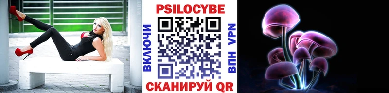 Псилоцибиновые грибы MAGIC MUSHROOMS  нарко площадка формула  Стародуб  где продают  