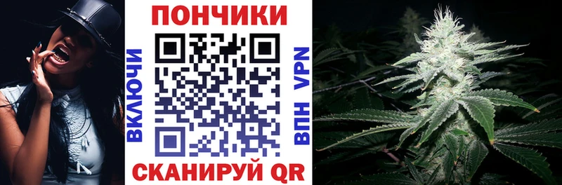 mega tor  Стародуб  Каннабис сатива 